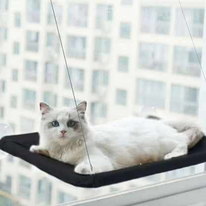 Hamac Chat - PetCatHangingBed™ - Noir - Chat cocooning