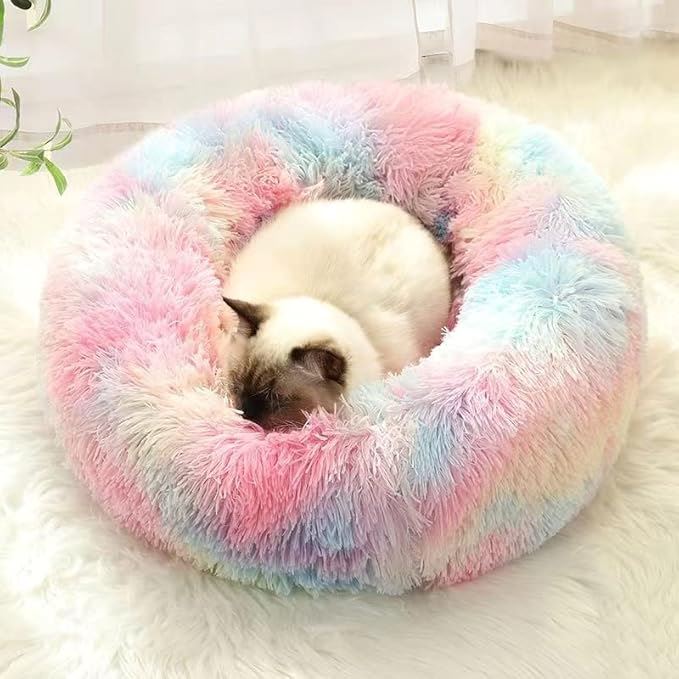 Lit pour Chat - CatLitTunnel™ - Multicolore - Chat cocooning